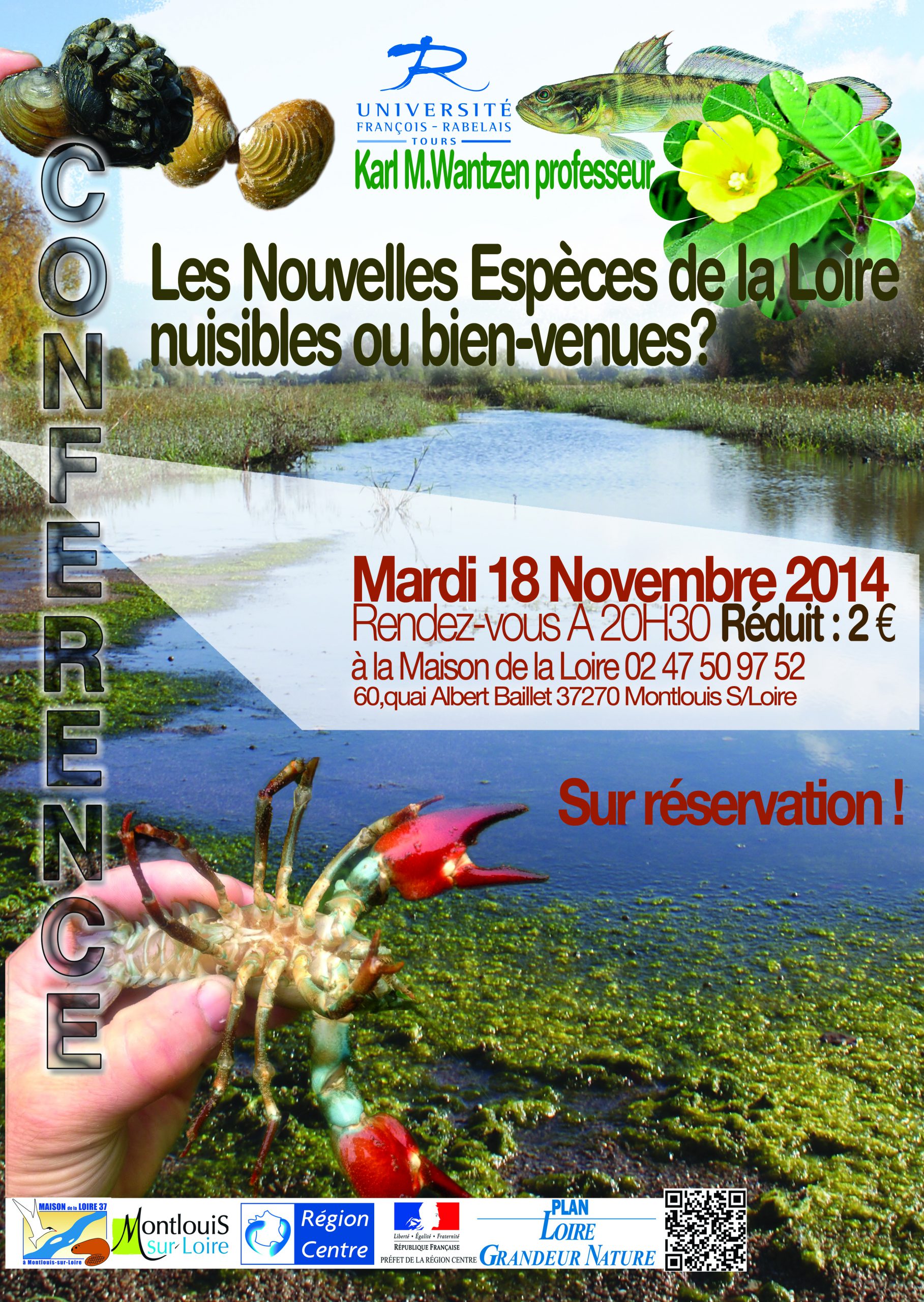 Les nouvelles espèces de la Loire nuisibles ou bien-venues ?