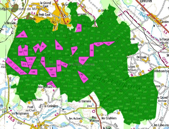 Parcelle forestière prospectée lors de la campagne 2018 (S. Lacroix, CITERES/LAT)