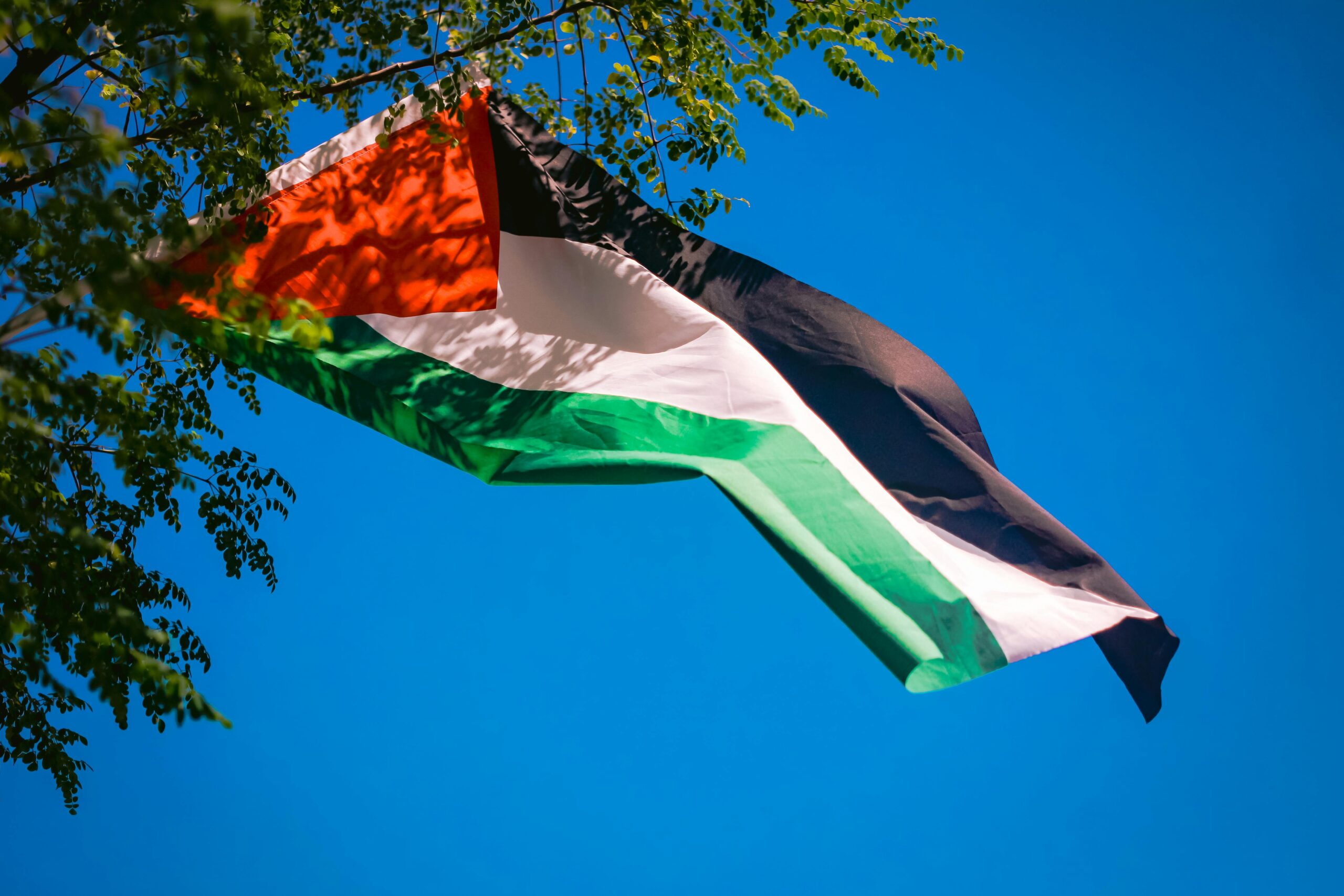 2023 : « Gaza : pourquoi l’Égypte refuse de laisser entrer les Palestiniens »