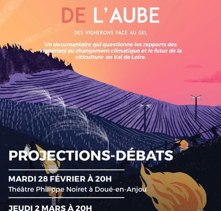 Projections et soirées débats à Doué et Saumur